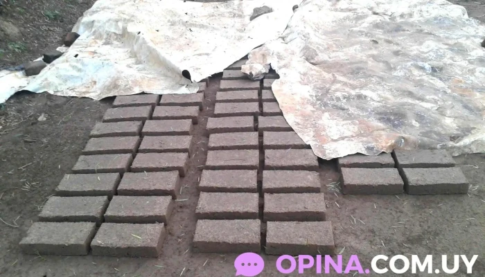 Sirio F.m. 89.5 - Gral. Jose Gervasio Artigas