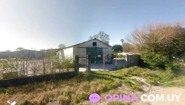 Sm Barber Shop - Maldonado