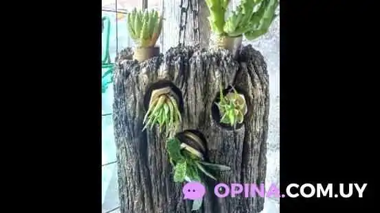 Soluciones Juan Carlos - 15200 Estación Atlántida