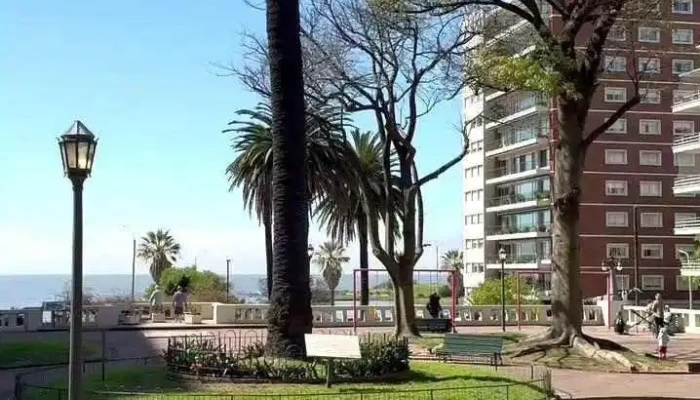 Sou Negocios Inmobiliarios -  Puntaje - Montevideo