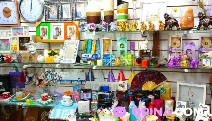 Soypunta -  Numero - Punta del Este