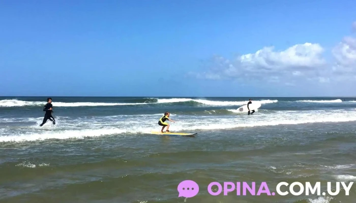 Sprout Escuela De Surf -  Del Propietario - La Paloma