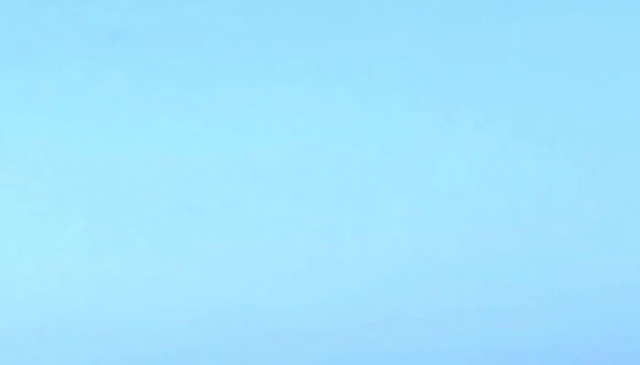 Sprout Escuela De Surf -  Direccion - La Paloma