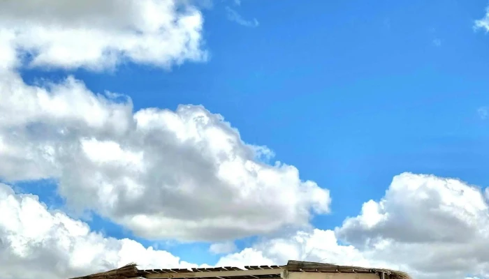 Sprout escuela de surf - La Paloma