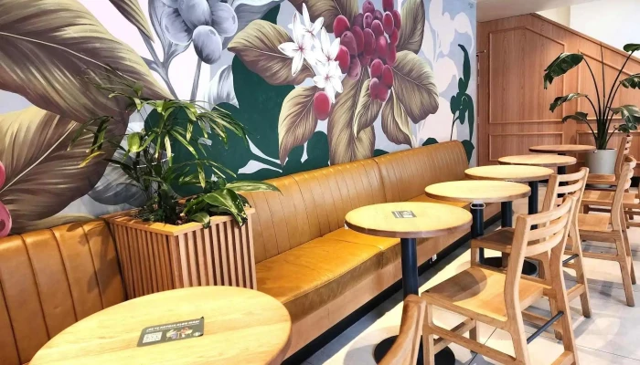 Starbucks:  Ambiente - Cafetería