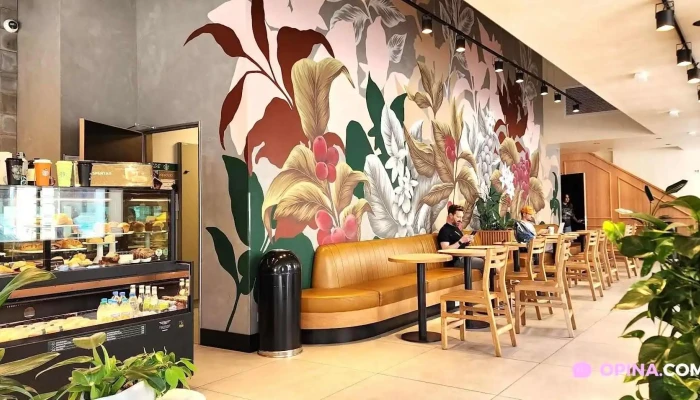 Starbucks:  Todo - Cafetería