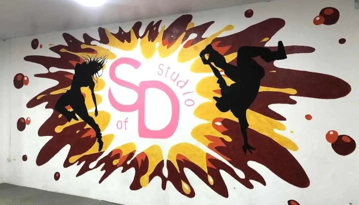 Style of Dance Studio - Toledo