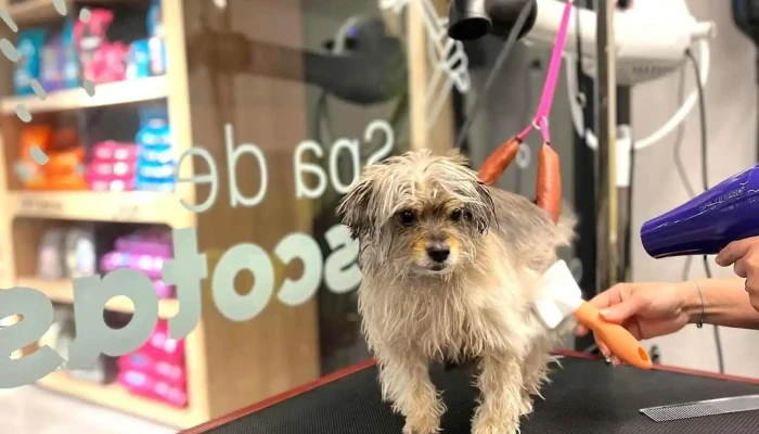 Sucan Pocitos - 11300 Montevideo