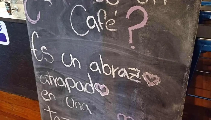 Suculenta:  Menu - Cafetería