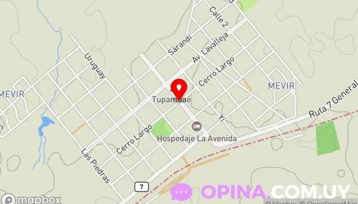 Sunflowers Nails - 37006 Tupambaé