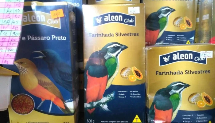 Super Mascota - 15000 Ciudad De La Costa