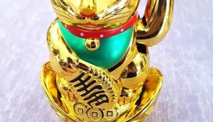 Super Unico Donde - Minas