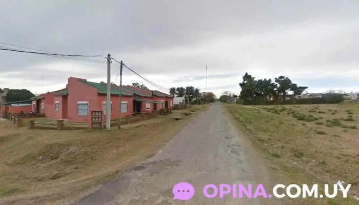 Taboba y maurente - Col. Del Sacramento