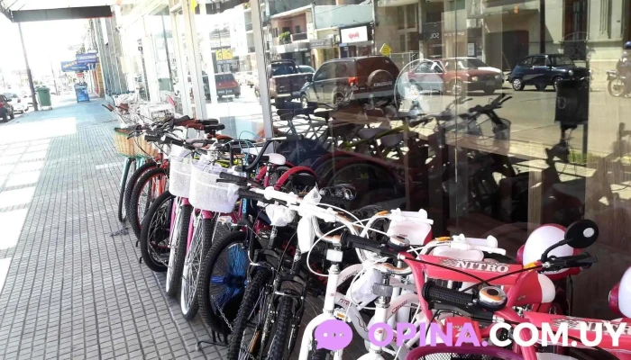 Tac Shop - 55000 Artigas