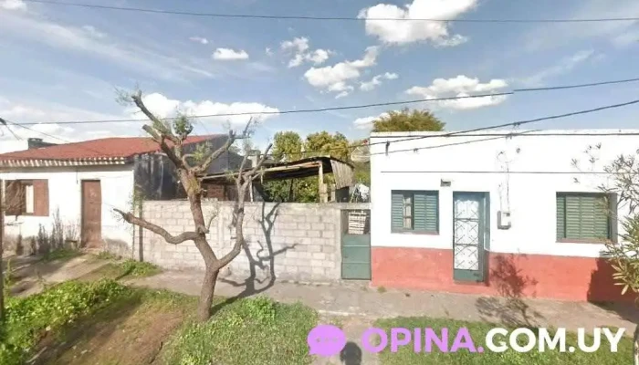 Tacuabé Veterinaria - 40000 Rivera