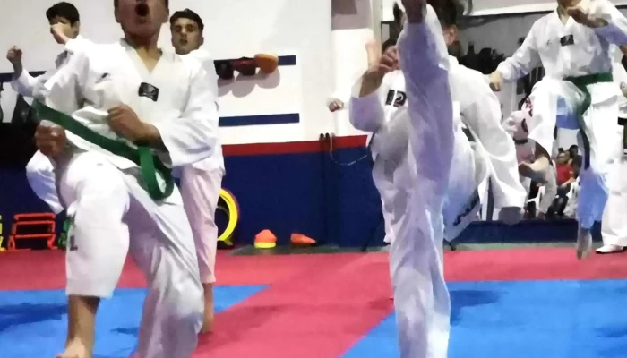 Taedo Escuela De Taekwondo Direccion - Progreso