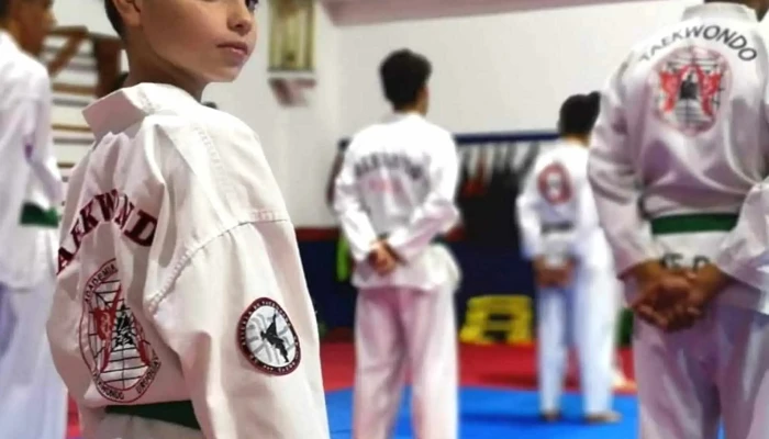Taedo, Escuela de Taekwondo - Progreso