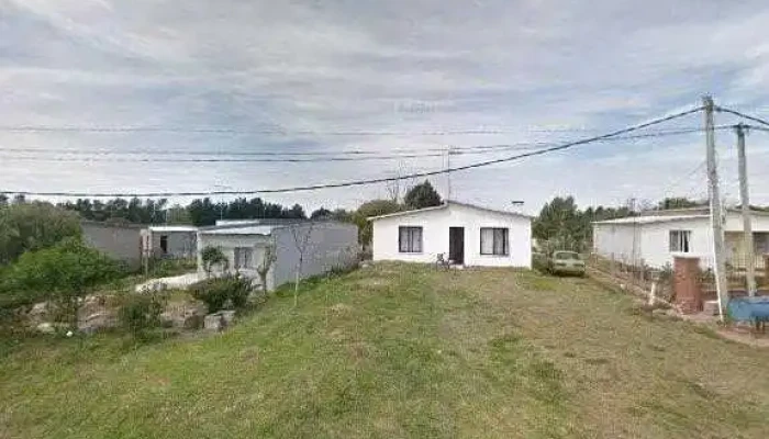 Taller Bioarte -  Cerca De Mi - Los Cerrillos