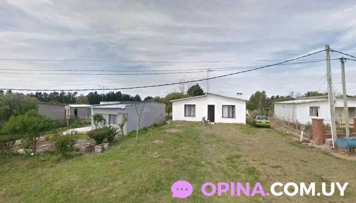 Taller Bioarte - Los Cerrillos