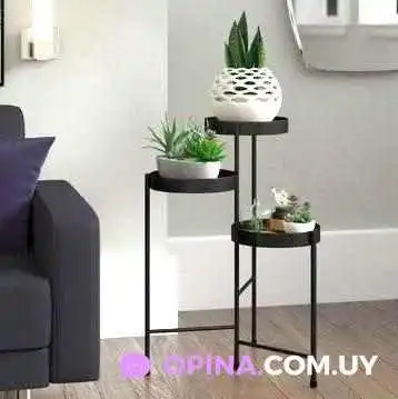 Tallo y Flor - Montevideo