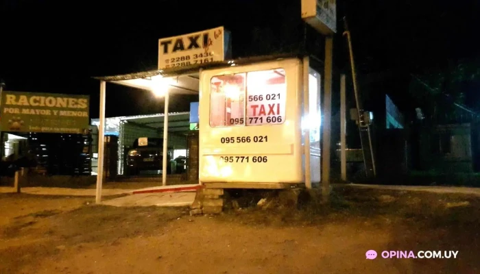 Taxi Ruta 8:  Todo - Comercio