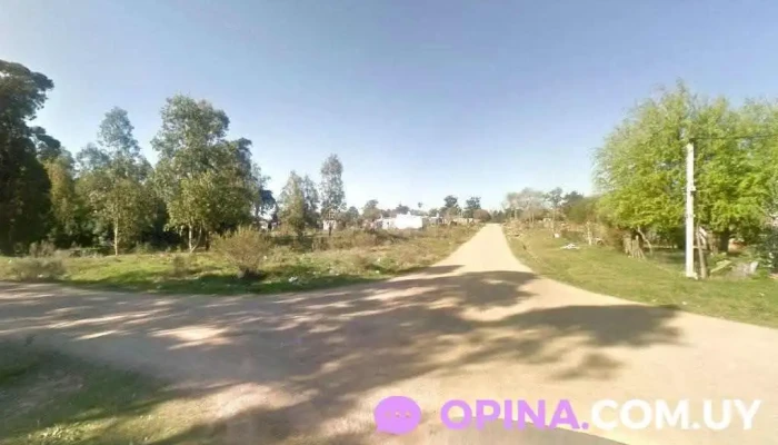 Tbi (tutorías Básicas De Inglés) - Est. La Floresta