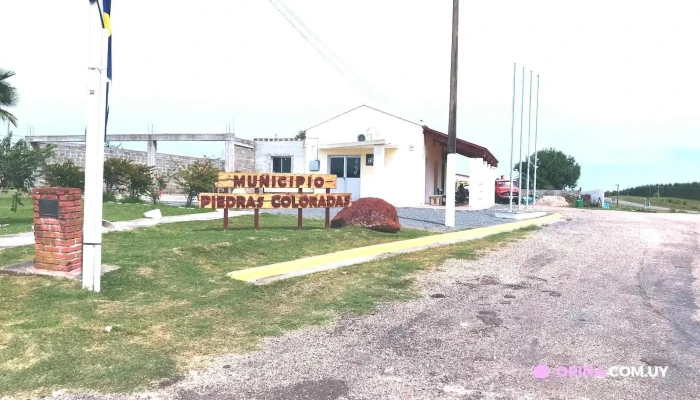 Te Felicito -  Todo - Piedras Coloradas