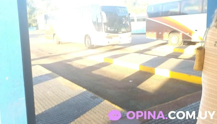 Terminal Piriapolis Videos - Piriápolis