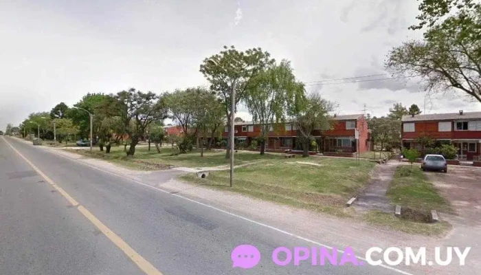 Tezar - 11400 Montevideo