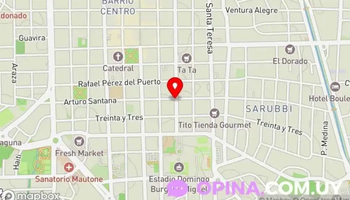 mapa de The American English School Academia de inglés en Maldonado