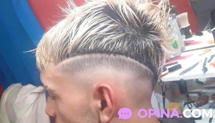 The Family Barber - 60001 Gallinal