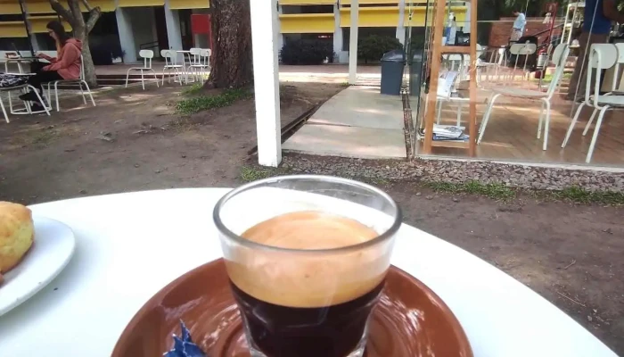 The Lab Coffee Roasters Museo Nacional De Artes Visuales Cortado