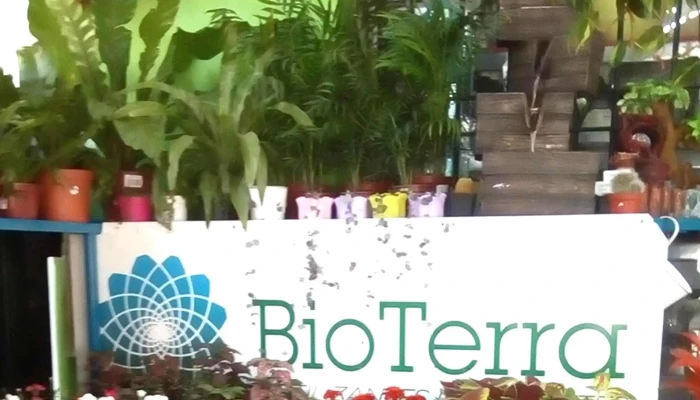 Tienda De Regalos Buceo -  Direccion - Montevideo