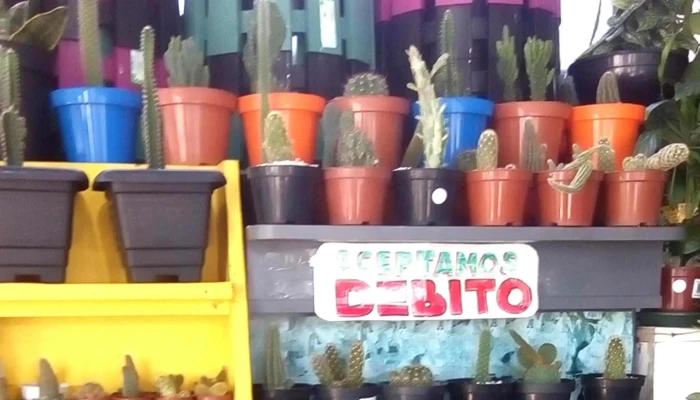 Tienda De Regalos Buceo -  Promocion - Montevideo