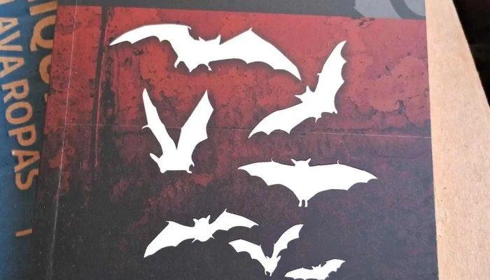 Tienda Rubi Music Books Store Interior - Montevideo