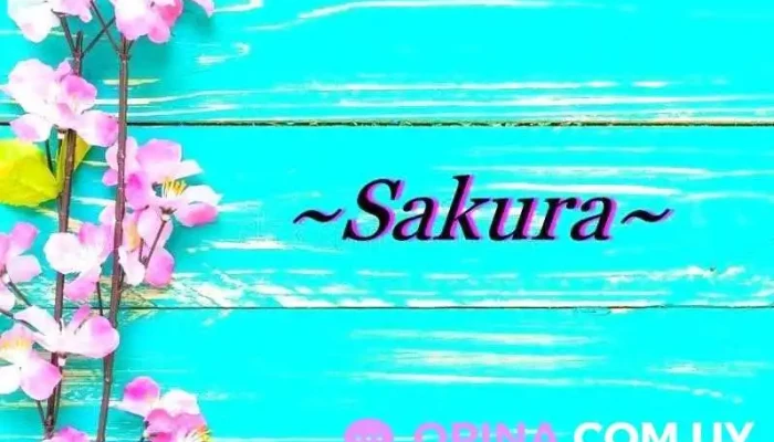 Tienda Sakura - 15200 Estación Atlántida