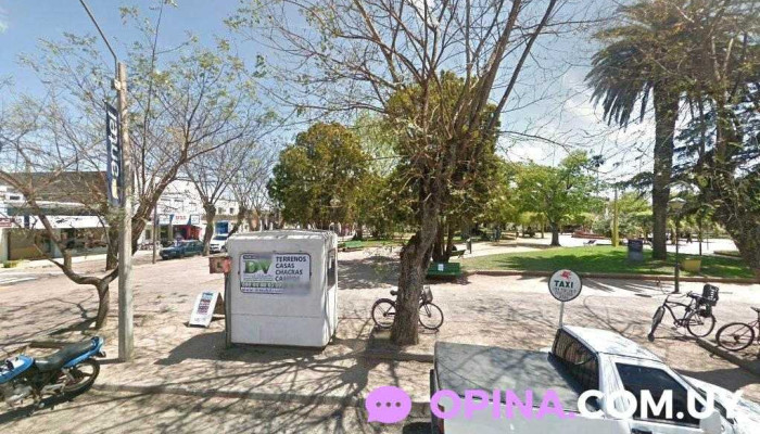 Tienda Yoliber - Tala