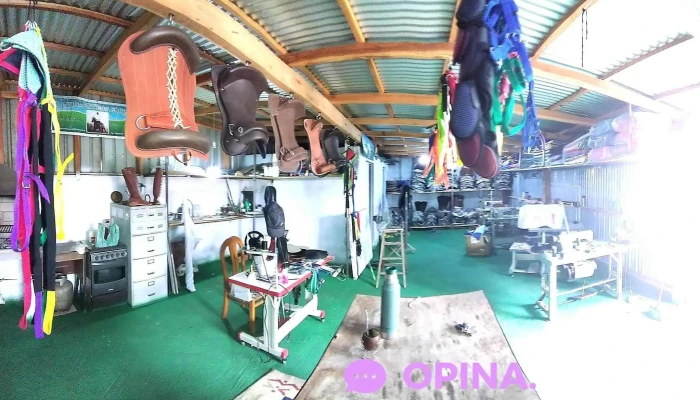 Todo para Equitación Uruguay - Agrimensor Zoe Taroco 2677