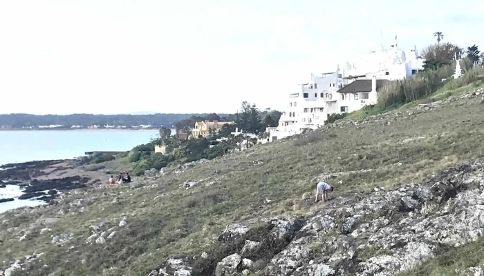 Todo Punta Inmobiliaria -  Donde - Punta del Este