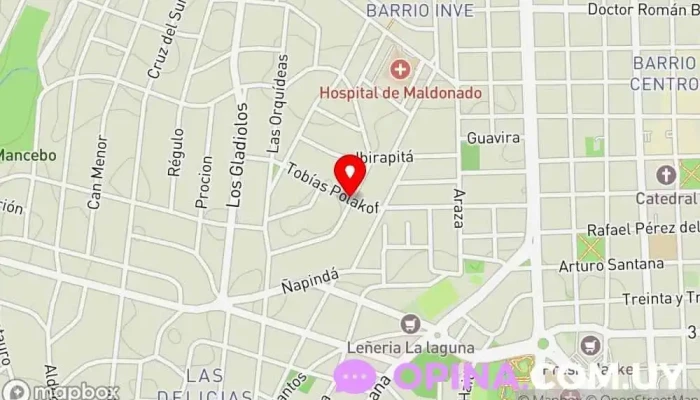 mapa de Todo Punta Inmobiliaria Agencia inmobiliaria en Punta del Este