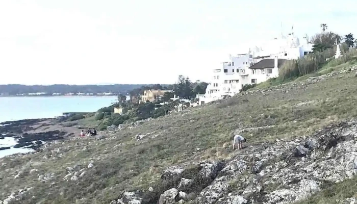 Todo Punta Inmobiliaria - Punta Del Este