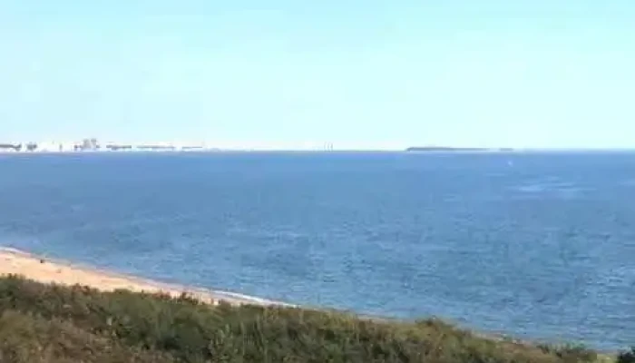 Todo Punta Inmobiliaria -  Videos - Punta del Este