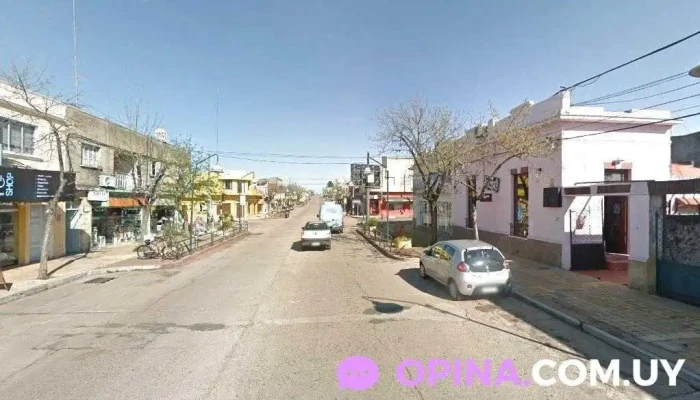 Todo Útil - 45100 Paso De Los Toros