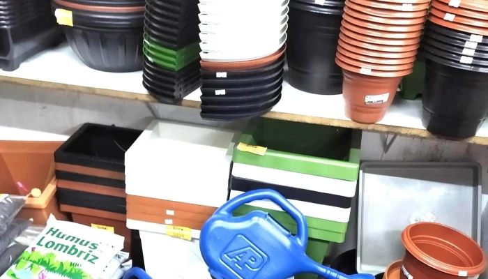 Todolandia -  Zona - Montevideo