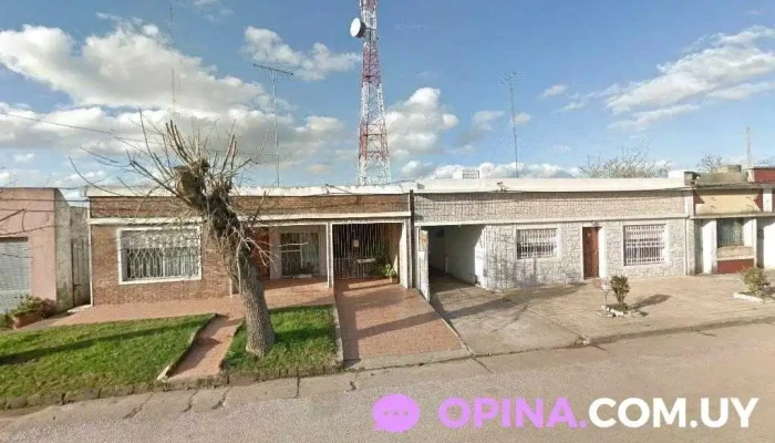 Todolar - María Vera