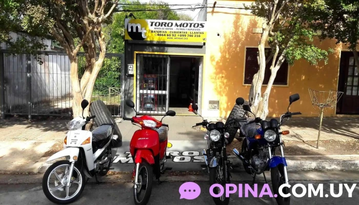 Toro Motos - 45100 Paso De Los Toros