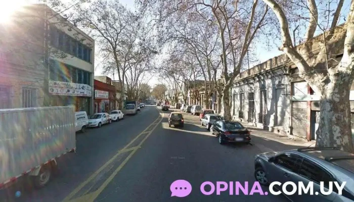 ToxiBarber - 11800 Montevideo