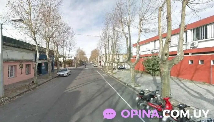 Trabajo - Col. Del Sacramento