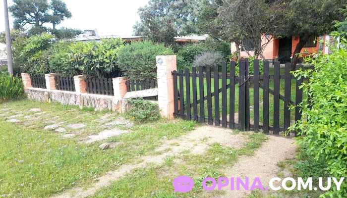 Trabajos En General El Pollo Pintor -  Descuentos - Las Toscas