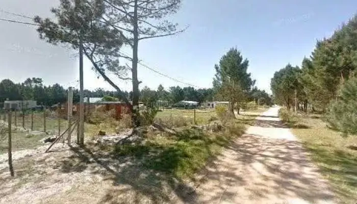 Trabajos En General El Pollo Pintor -  Descuentosdeg - Las Toscas